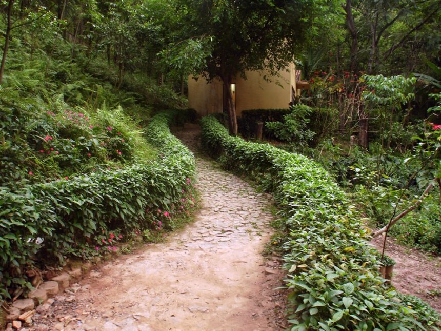 Parque Mata das Borboletas tem área ampliada em BH