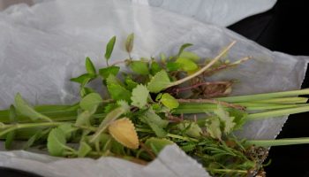 Belo Horizonte é a 1ª capital do País a ter Política Municipal de Cuidados