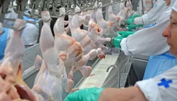 Nem o pé de frango escapa: carne fica até três vezes mais cara em BH