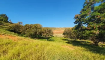 Prefeitura abre consulta para definir o novo parque urbano no bairro Califórnia