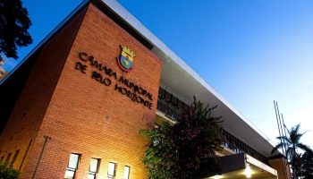 Vereadores votam revisão periódica de normas para plantio de árvores em Belo Horizonte