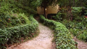 Parque Mata das Borboletas tem área ampliada em BH