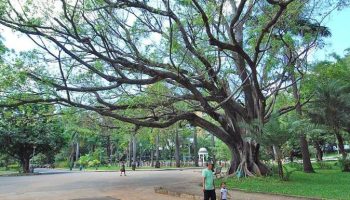 Parque Municipal recebe ‘Semana Lixo Zero BH’ neste sábado