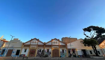 Belo Horizonte vira capital da literatura com a 1ª Teia da Leitura 2026