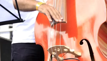 Câmara de BH aprova projeto que beneficia a contratação de artistas locais