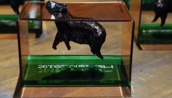 Festival de curtas de Belo Horizonte abre inscrições gratuitas para filmes de até 45 minutos