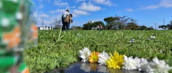 PBH publica autorização e regras para a venda de flores no Dia de Finados